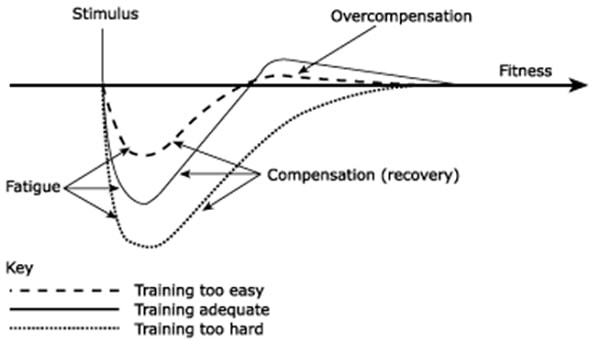 Временные пределы. Суперкомпенсация загара. Recovery of compensation.